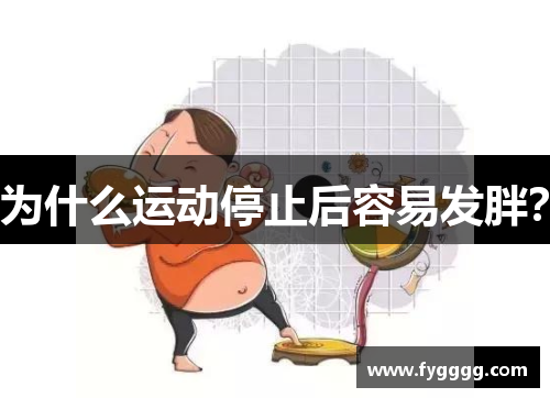 为什么运动停止后容易发胖？