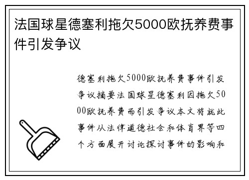 法国球星德塞利拖欠5000欧抚养费事件引发争议